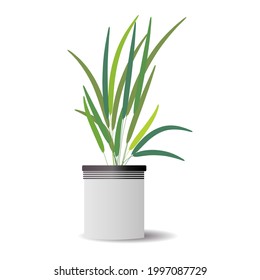 vector plant on pots minimalis modern style