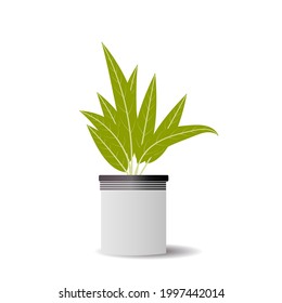 vector plant on pots minimalis modern style