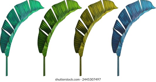 Vektorgrafik Pflanze Palmblatt Banane Set. Tropische Pflanze, Blatt. Paradiespflanze. mehrfarbiges Blatt