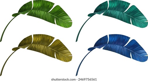 Vector plant palm leaf banana set. Tropical plant, leaf. Paradise plant. Multi-colored leaf