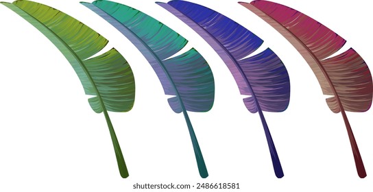 Vector plant palm leaf banana set. Tropical plant, leaf. Paradise plant. Multi-colored leaf