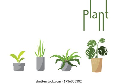 vector plant in the pot