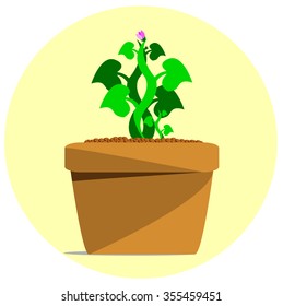 The vector of plant pot