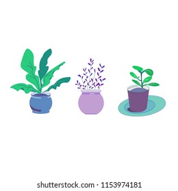 vector plant pot blue tone 