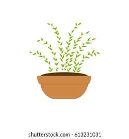 Vector plant pot illustration.