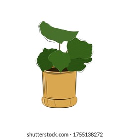 Plantas vectoriales aisladas en blanco 
de fondo. Planta dibujada a mano. Para afiche, pancarta, tarjeta, pegatina