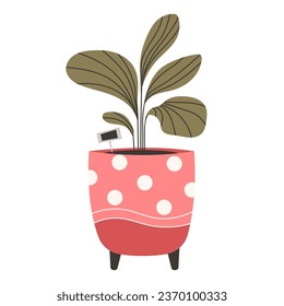 Vector plant in a pot, isolated on a white background. Living room or office decoration in flat style. Indoor plants in beautiful pots.