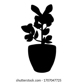 Planta vectorial en silueta de olla. Árbol en olla aislado en blanco. Elemento para cartel, pancarta
