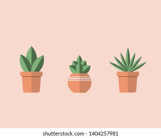 vector of plant pots with green plants. gardening concept