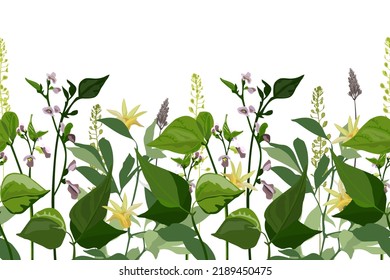Vector plant seamless pattern, border. Horizontal illustration with delicate lilac flowers of curly beans, green twigs and leaves, herbs and yellow flowers. Botanical design for surface decoration.