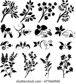 Vector plant series