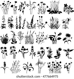 Vector plant series