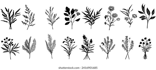 Vector plant set of botanical flowers and herbs. Ink drawings of plants for diy projects, greeting cards, wedding invitations. Isolated hand drawn floral sketch of botany doodle flowers for stationary