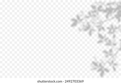 Vector plant shadow png. Shadow png. Silhouette of grass, leaves, tree on an isolated transparent background.