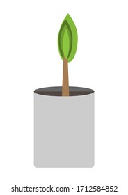 plantación vectorial en la bolsa para aislar fondo blanco, vectorial de cultivo de plantas