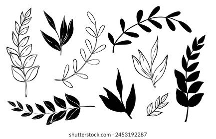 Vector plants and branches with leaves set. Hand drawn botanical illustration painted by black inks on isolated background in outline style. Silhouette of nature elements for icon or logo. Line art.