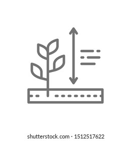 Vector Plants Growing, Plant Height Line Icon.