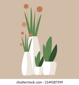 Vector plants in pots. Flowers collection. Flat illustration.