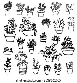 Vector plants in pots set in doodle style.Outline pot plant floral elements illustration  