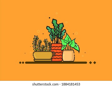 Vector plants. potted plant set isolated on orange background. landscape decoration at home. perfect for posters, wallpapers, backgrounds, business and more.