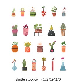 Vector plants sat illustration. Cozy illustration of home decor plants for book, social media, post card or other design