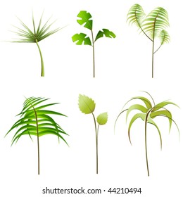 vector plants set
