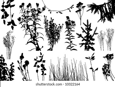 vector plants silhouettes