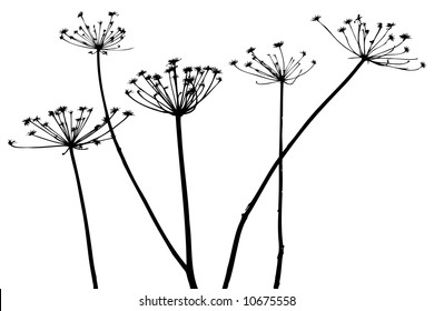 vector plants silhouettes