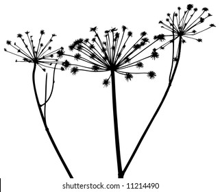 vector plants silhouettes