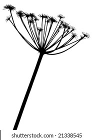 Siluetas de plantas vectoriales.