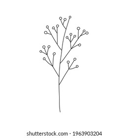 Vector plants tree holly berry with leaves branches holiday decoration winter symbols vintage nature line art illustration