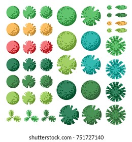 Vector plants. Tree sets. Arhitecture.  Landscape design/