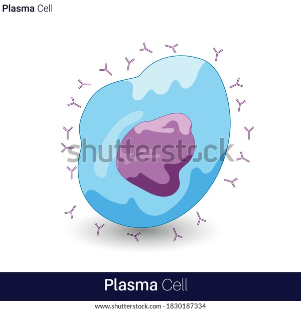 23,612 Plasma Cells Images, Stock Photos & Vectors | Shutterstock