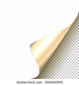 Vector Platinum Curled Glossy Foil Corner of White Paper with Shadow Mock up Close up Isolated on Transparent Background