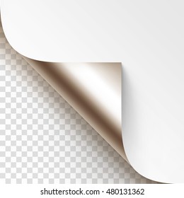 Vector Platinum Curled Glossy Foil Corner of White Paper with Shadow Mock up Close up Isolated on Transparent Background