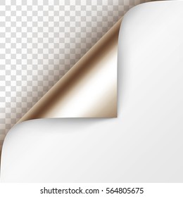 Vector Platinum Curled Glossy Foil Corner of White Paper with Shadow Mock up Close up Isolated on Transparent Background