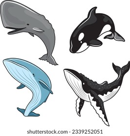 Parcela vectorial de ballenas biológicas marinas, juego de ballenas