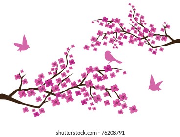vector plum blossom with birds