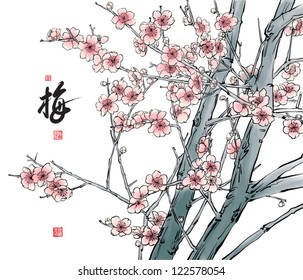 Vector Plum Blossom Translation: Plum