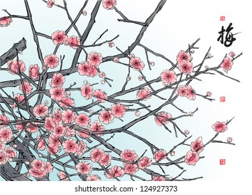 Vector Plum Blossom Translation: Plum