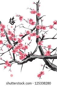Traducción de la Blossom de la Pluma vectorial: Pluma
