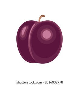 Vector plum flat icon. Simple cartoon illustration of fresh fruit.