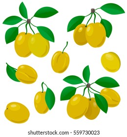 Vector plum. Set of colored icons with yellow plums with leaves and without. Fruit. Vector illustration. 
