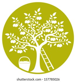 vector plum tree, ladder and basket of plums isolated on green round