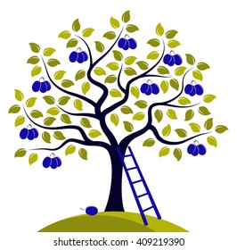 vector plum tree and ladder isolated on white background