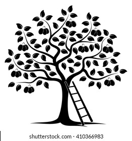 Vector Plum Tree And Ladder Isolated On White Background