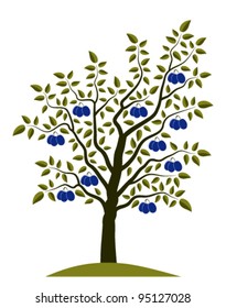 vector plum tree on white background