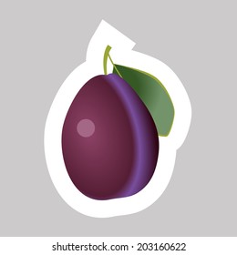 Vector Plum with White Contour Isolated on Grey Background.
