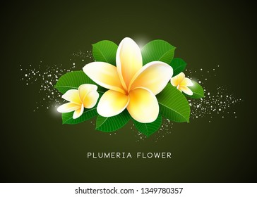 Diseño de flores y hojas de vectores Plumeria, ilustración