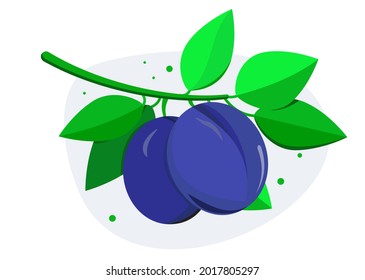 Vector plums with branch and green leaves. Fresh fruit on background. Icon for banner, poster, label or flyer.
